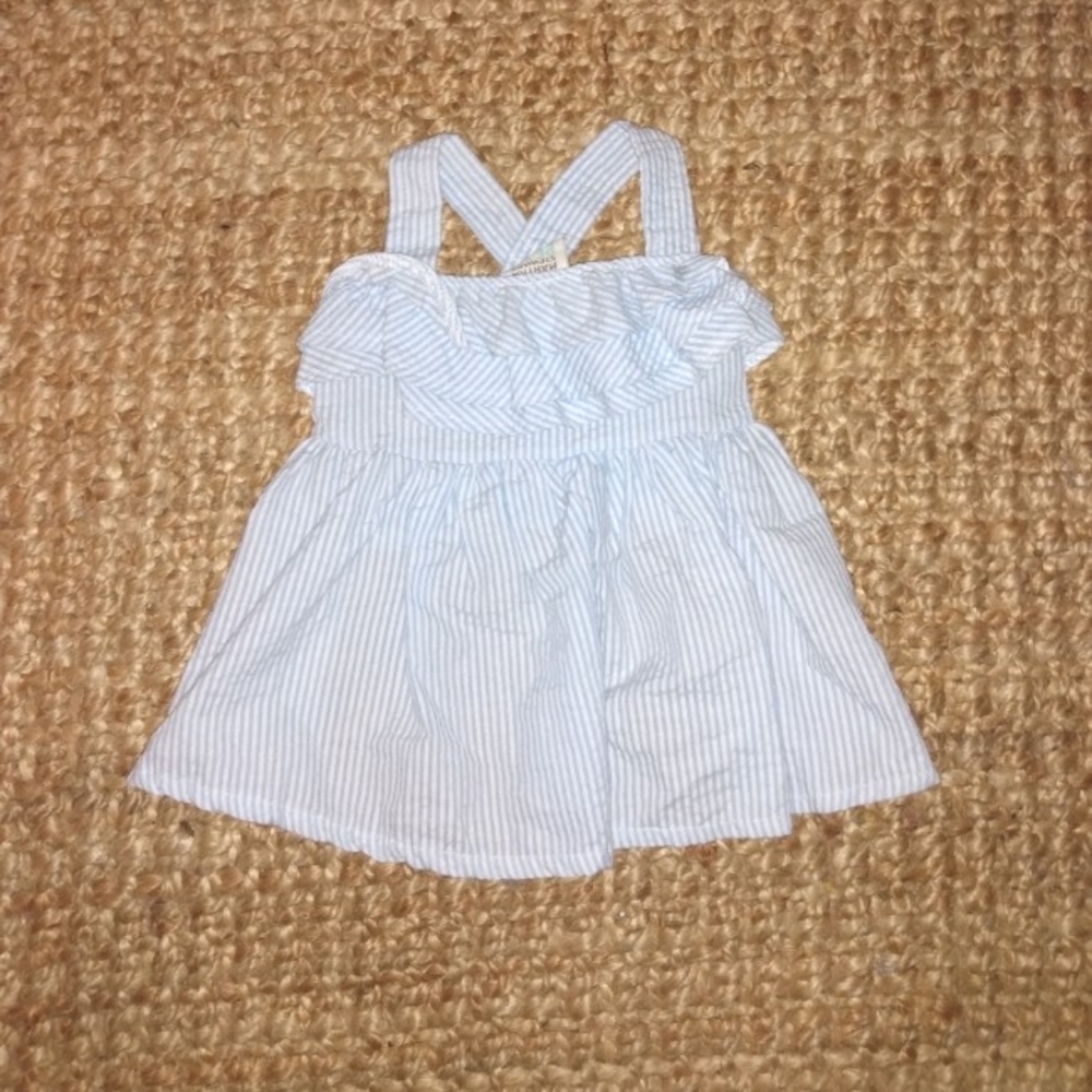 Martha Stewart Medium Dog dress